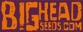 Big Head Seeds logo