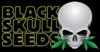 Blackskull Seeds logo