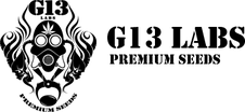 G13 Labs logo