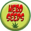 Hero Seeds logo