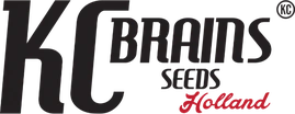 K.C. Brains Seeds logo