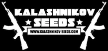 Kalashnikov Seeds logo