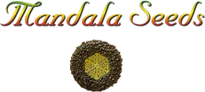 Mandala Seeds logo
