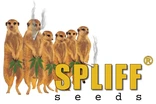 Spliff Seeds logo