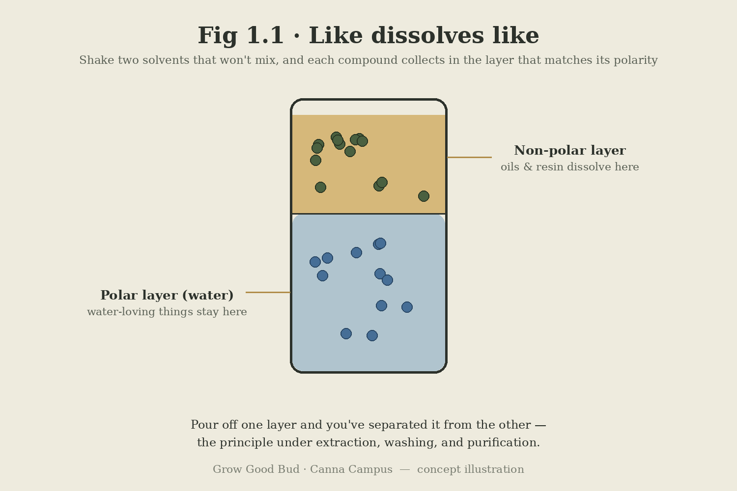 Fig 1.1 — a vessel with two layers that don't mix; non-polar resin collects in the upper oily layer, water-loving compounds in the lower water layer, so pouring off a layer separates them