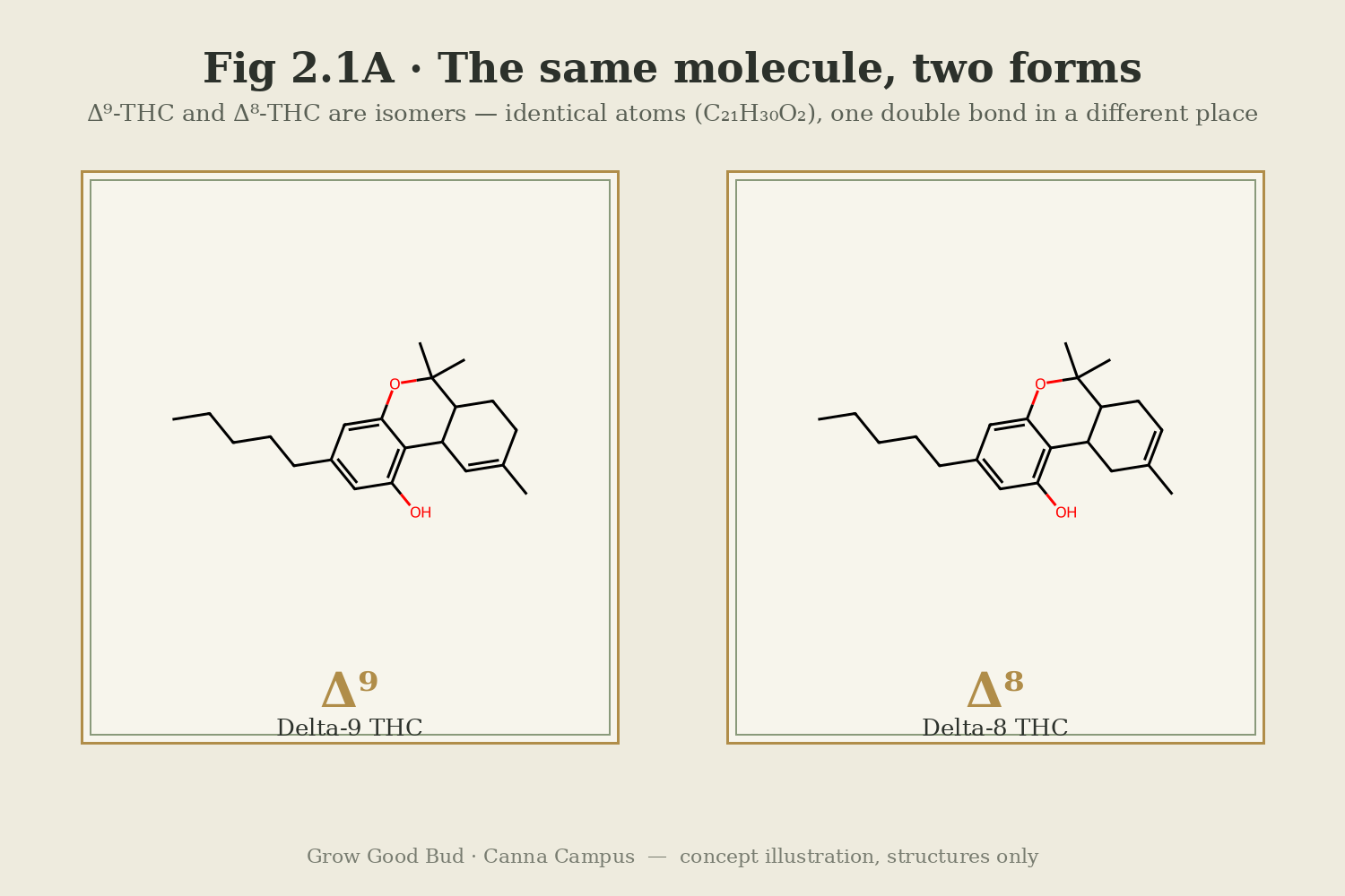 Fig 2.1A — Δ9-THC and Δ8-THC shown as labelled molecular structures; the same C21H30O2 skeleton with one ring double bond in a different position
