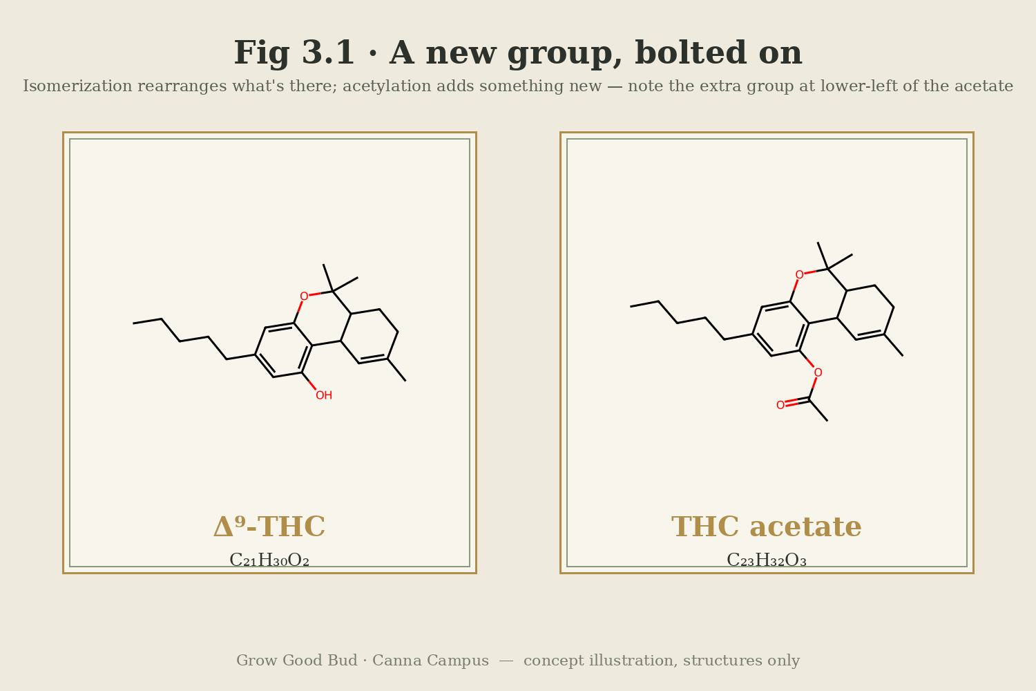 Fig 3.1 — Δ9-THC beside THC acetate as labelled structures; the acetate has an extra acetyl group where THC has a hydroxyl, and a different molecular formula