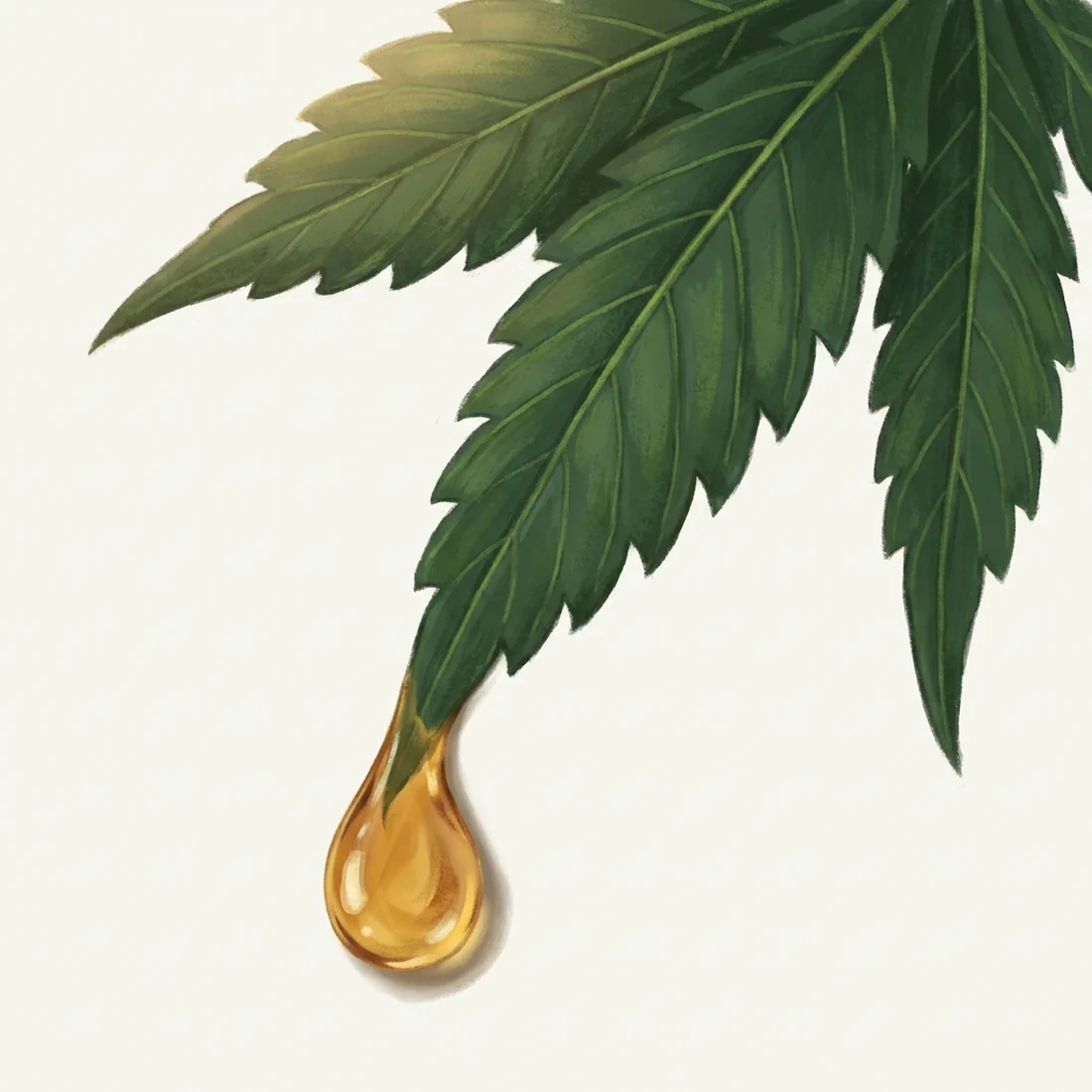 Extraction & Purification of Oils