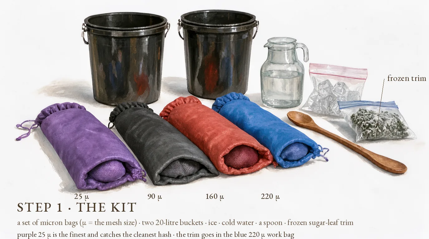 Step 1, the kit: four micron bubble bags from the finest purple 25 µ to the blue 220 µ work bag, two 20-litre buckets, ice, a jug of cold water, a wooden spoon and a freezer bag of frozen sugar-leaf trim