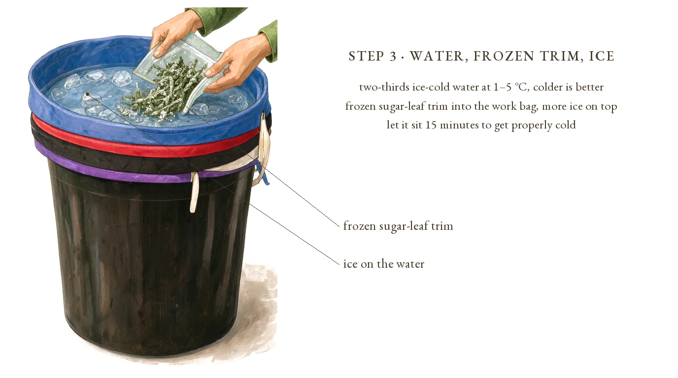 Step 3, water, frozen trim, ice: the nested bucket two-thirds full of ice water at 1–5 °C, frozen trim tipped from a freezer bag onto the ice