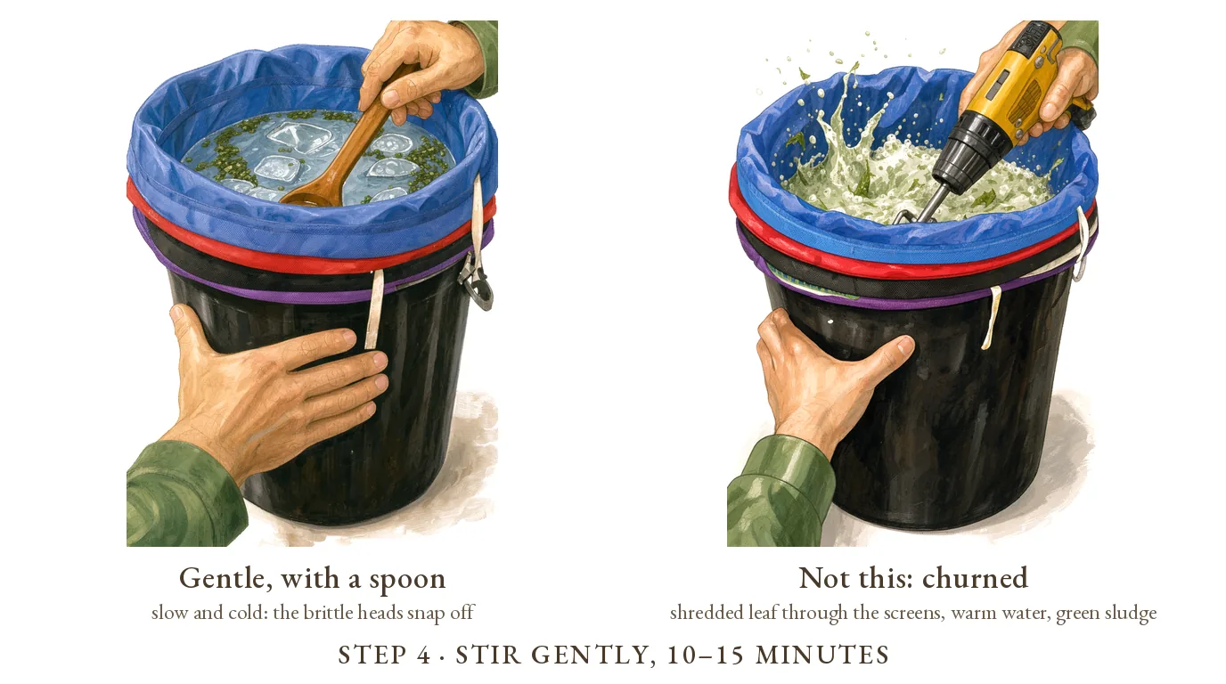 Step 4, stir gently for 10–15 minutes: a slow stir with a wooden spoon beside the wrong way, a drill paddle churning the water into green sludge