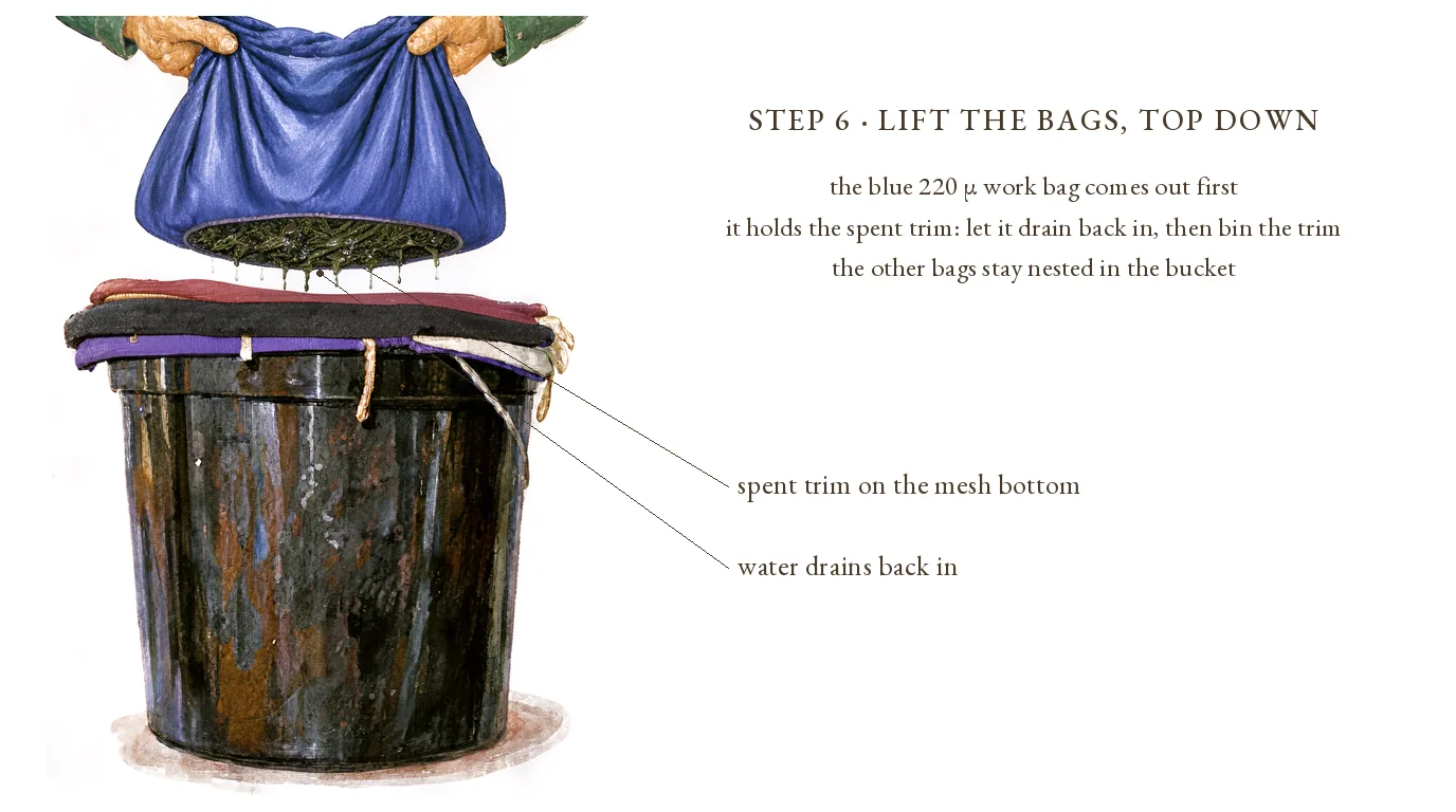 Step 6, lift the bags top down: the blue 220 µ work bag held above the bucket, spent trim on its mesh bottom, water draining back in