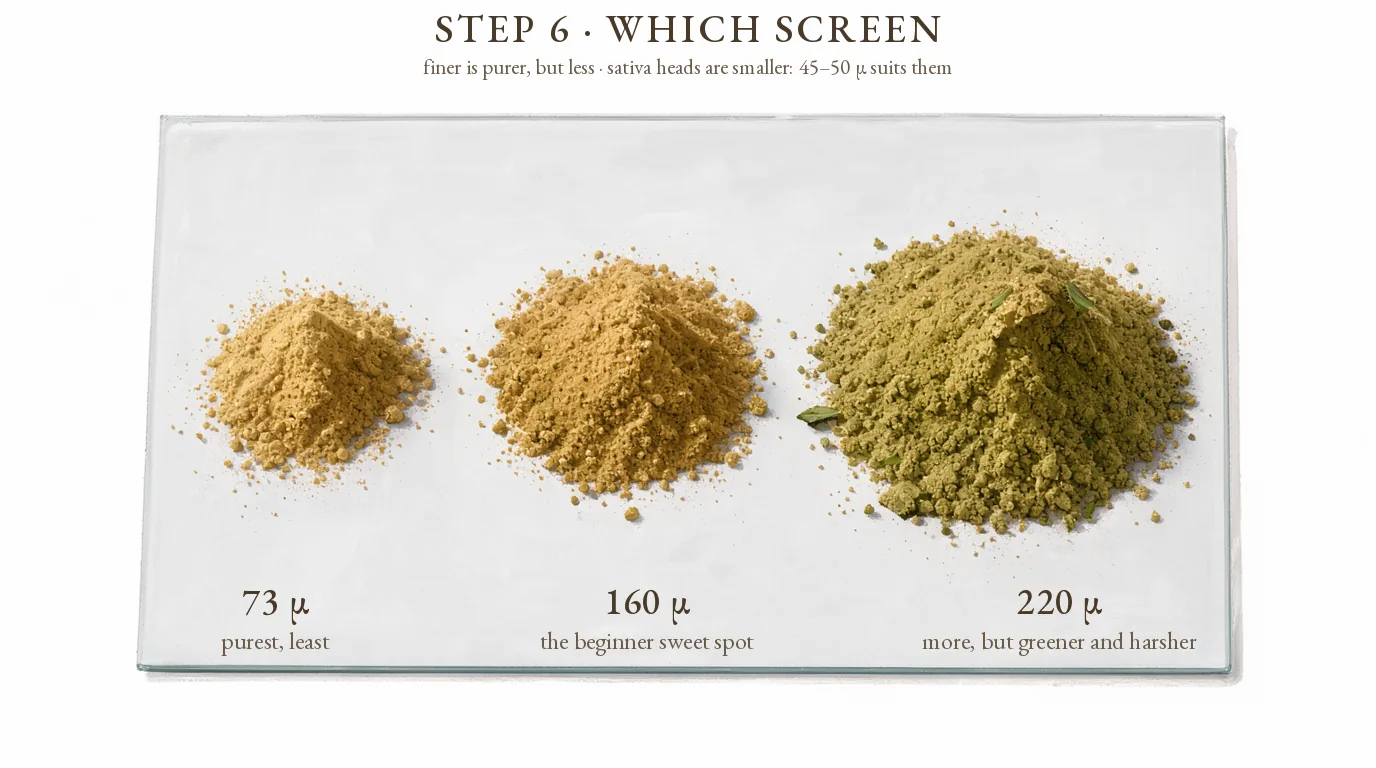 Step 6, which screen: three piles of kief on glass, 73 micron purest and least, 160 micron the beginner sweet spot, 220 micron more but greener