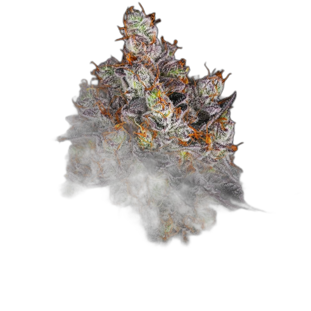 Gelato — Barney’s Farm